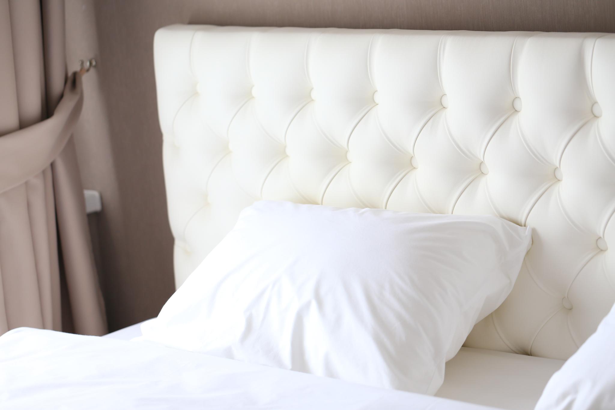 Фото Феликс