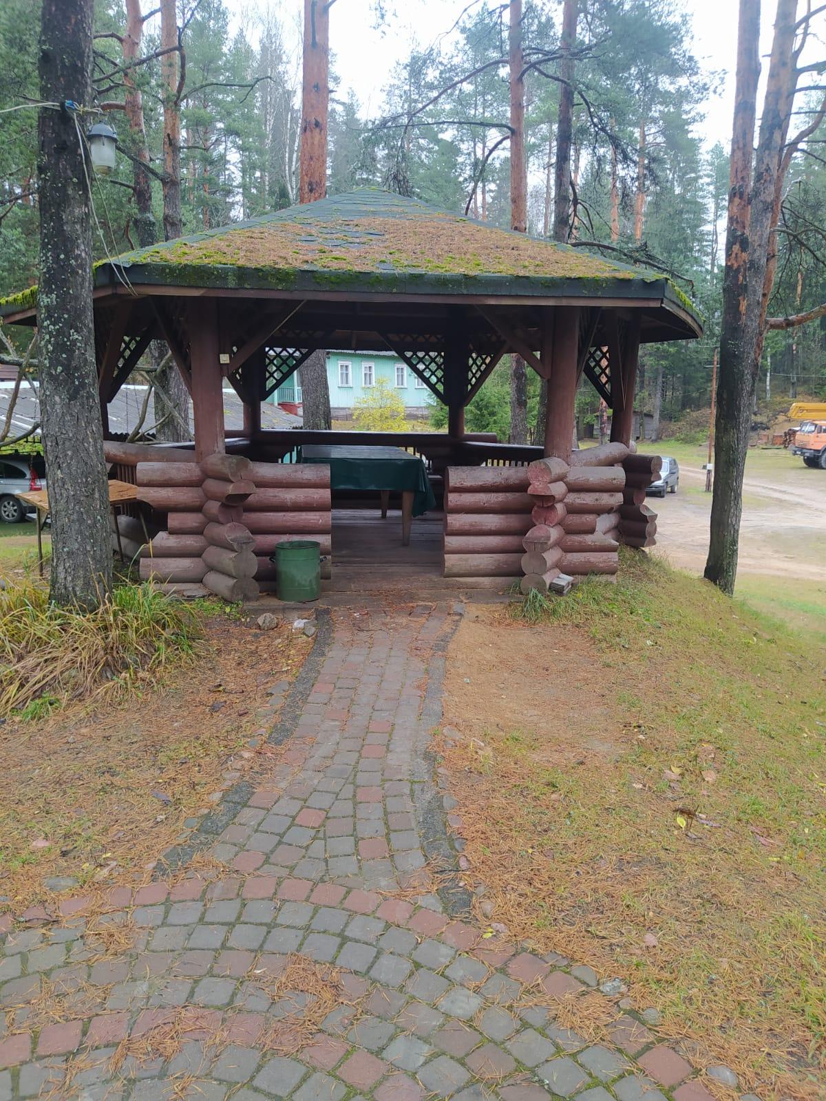 Фото Динамо