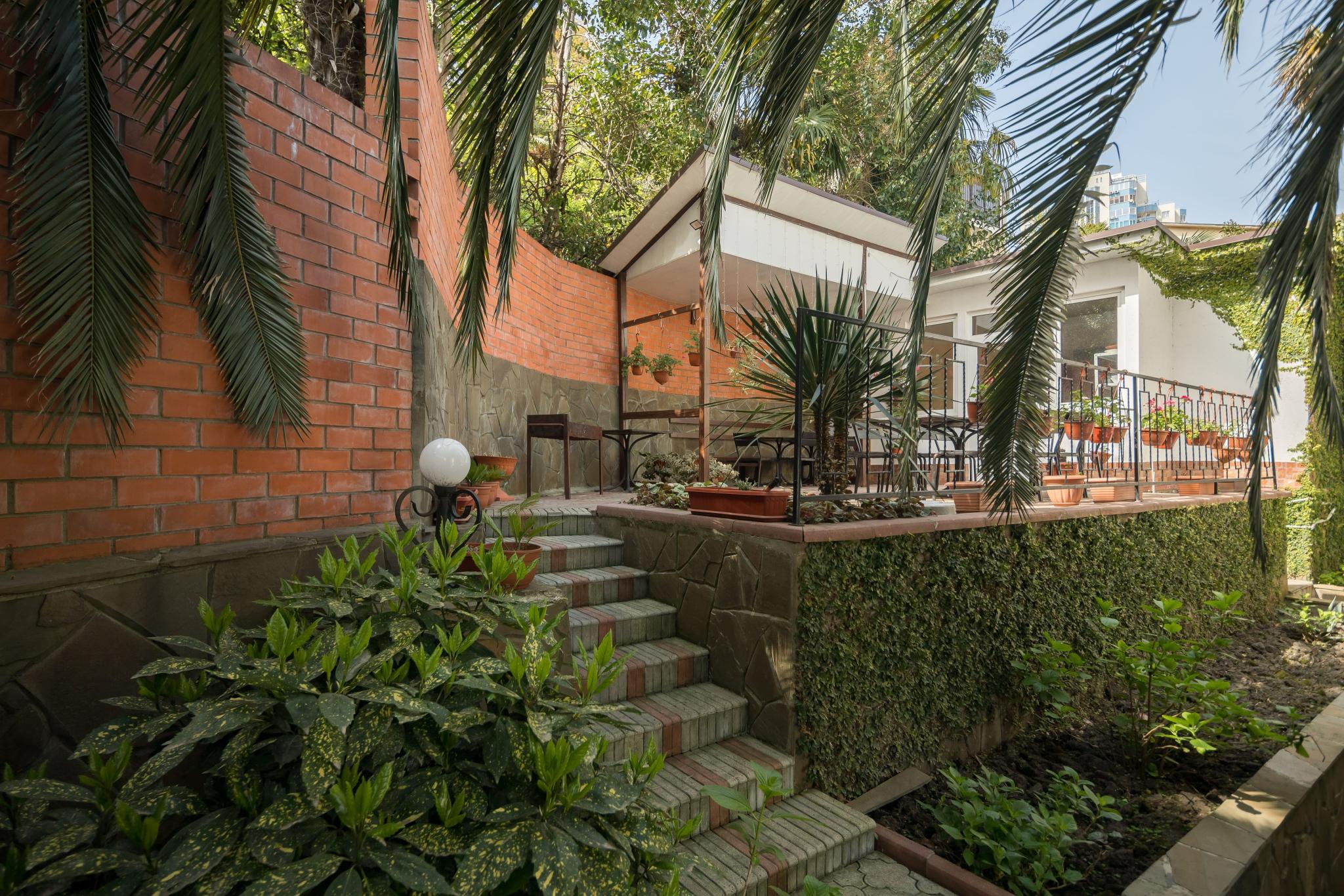 Фото Чайка Сочи