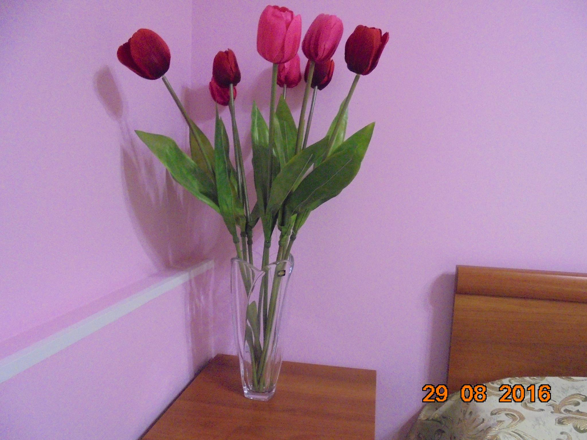 Фото Центральная