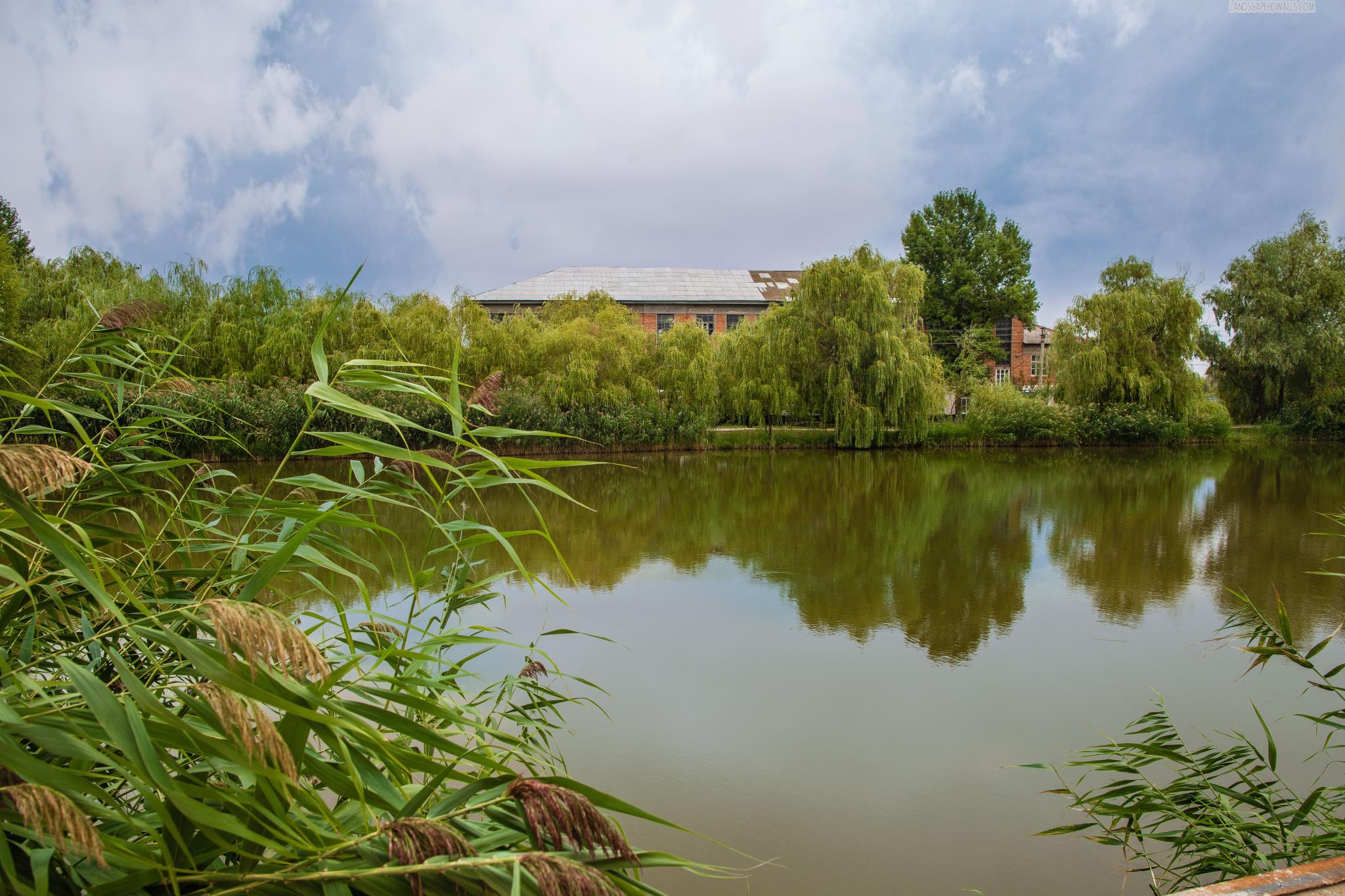 Фото Авиатор