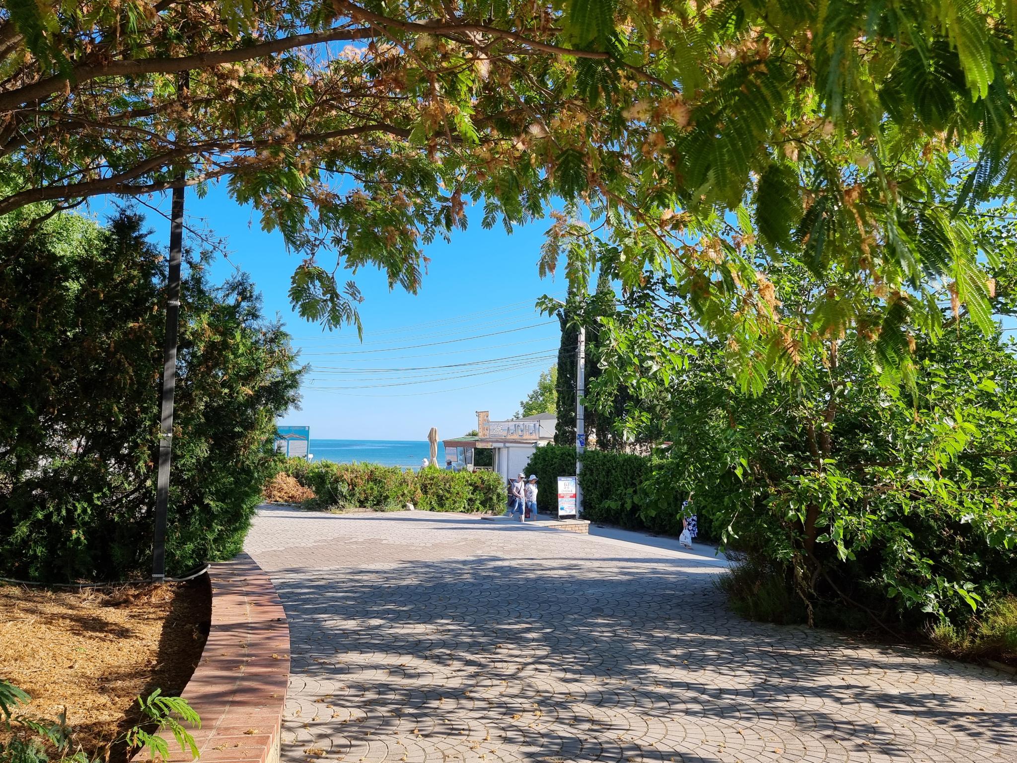 Фото Апартаменты в Доме у Греческой Хоры