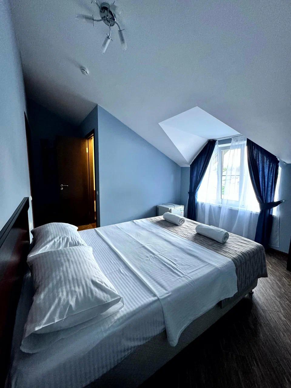 Фото Абрикос