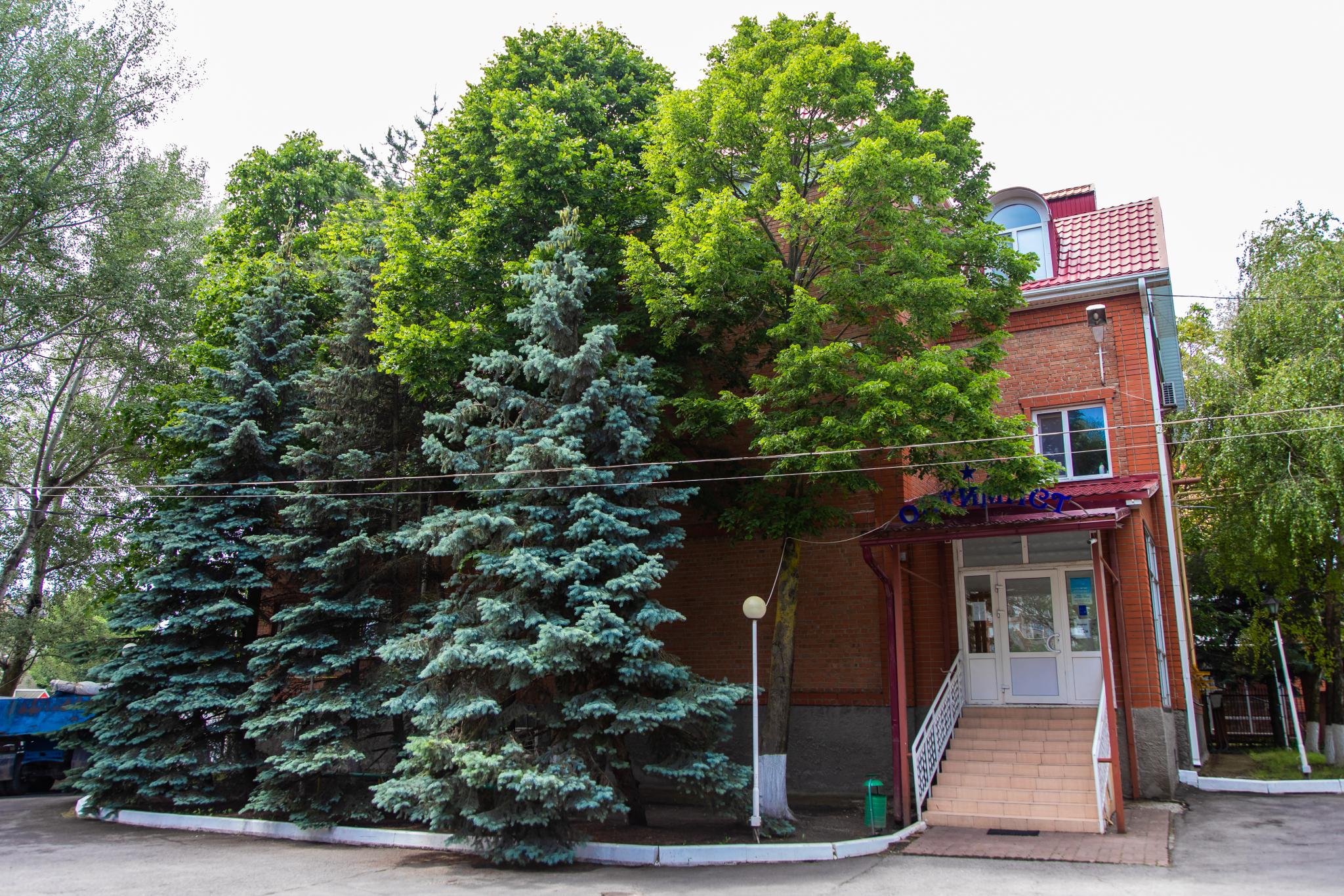 Фото Оптимист