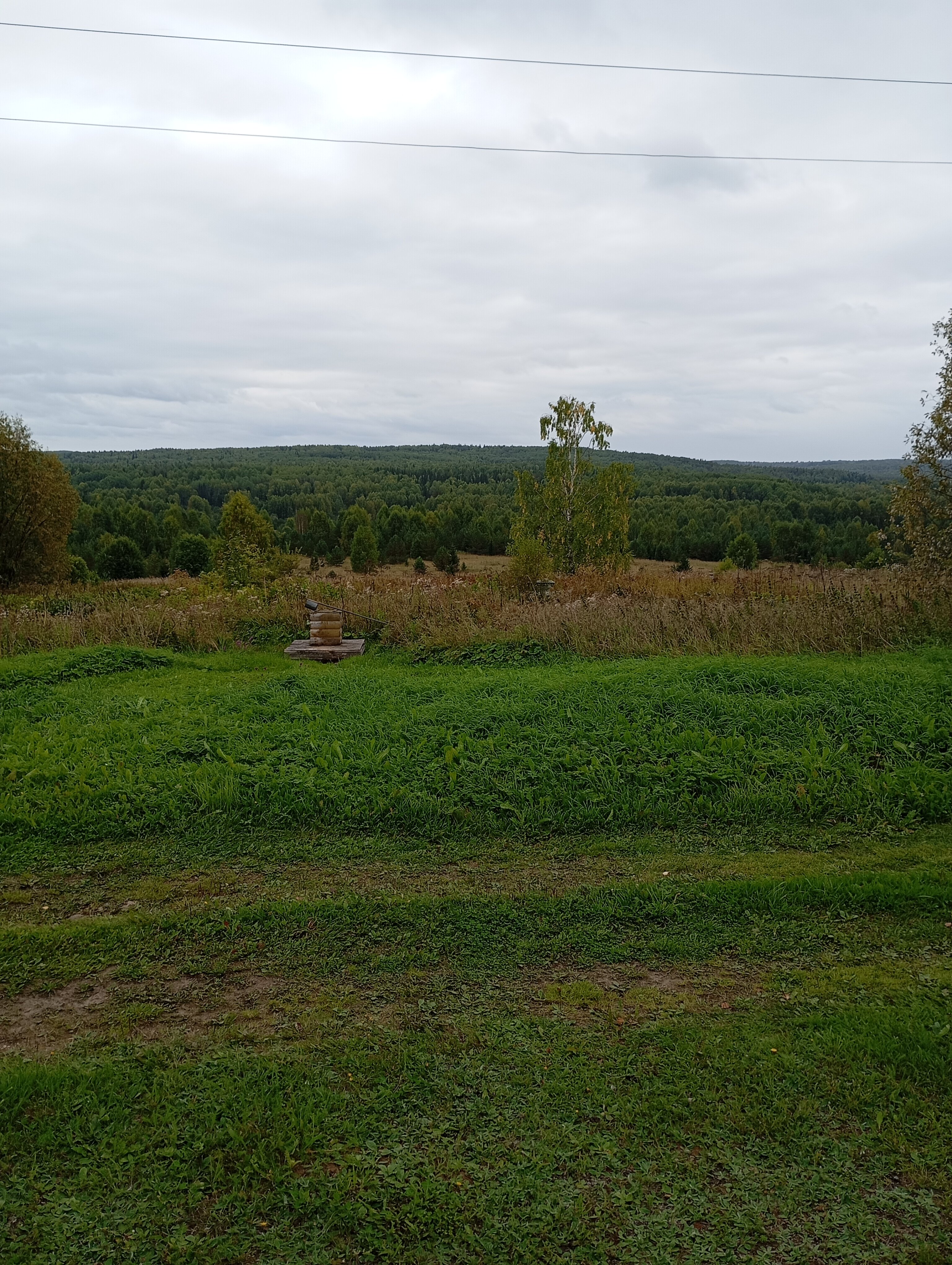 Фото Вилегодское Подворье