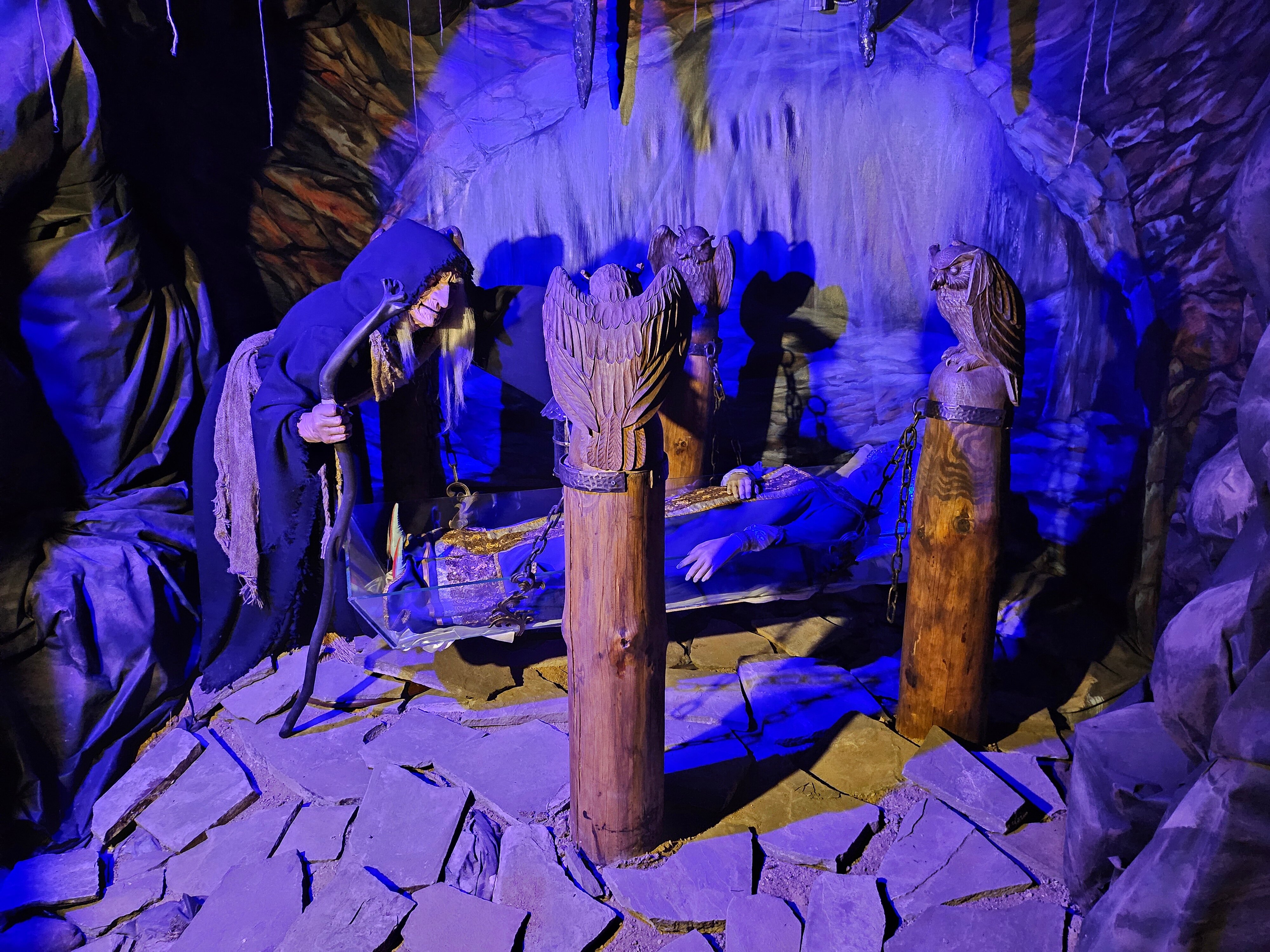 Фото Лесная сказка