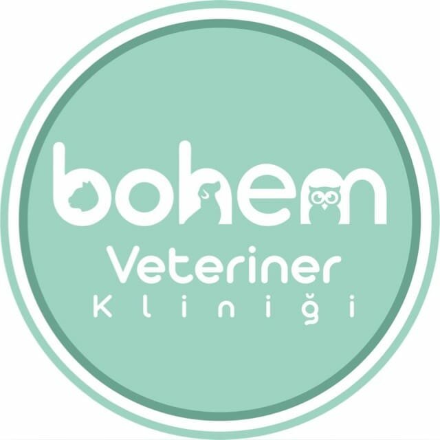 Veterinary clinic Bohem Veterinary Clinic, Izmir, photo