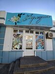 Freziya (Michurinskaya Street, 141Ак1), flower shop