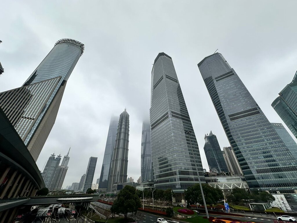 Cafe Greeno shop, Dubai, photo