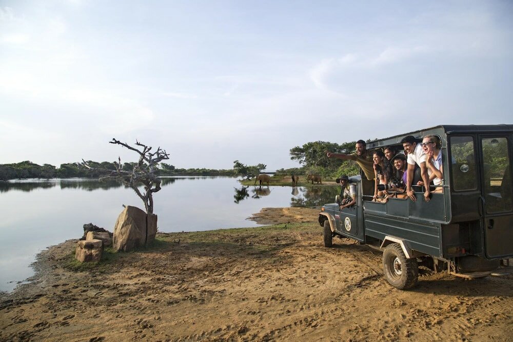 Фото Cinnamon Wild Yala