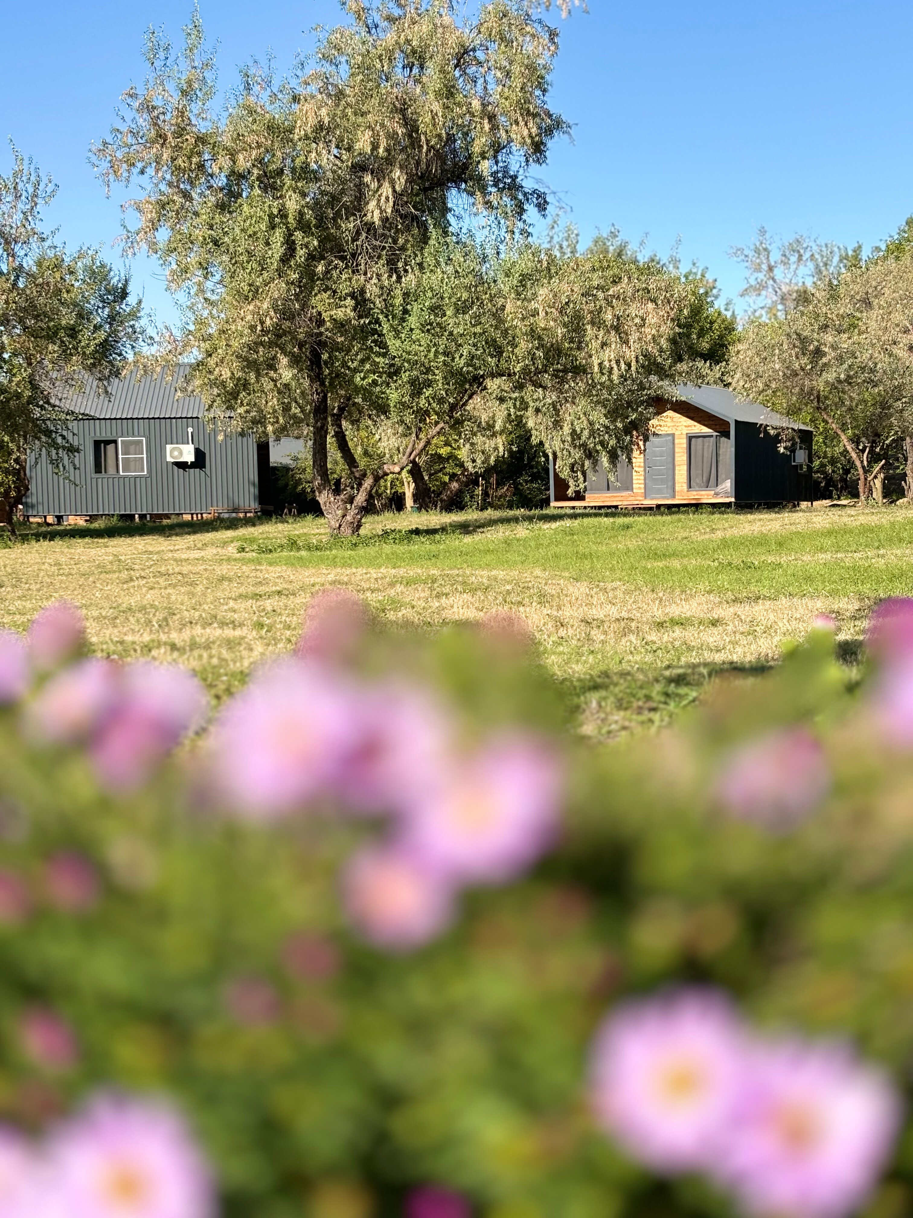 Фото Загородный парк Баклушино