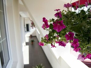 Гостиница Hotel Tranzzit