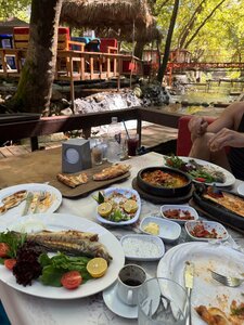 Tropik Restaurant (Antalya, Kemer District, Ulupinar Neighborhood), restaurant