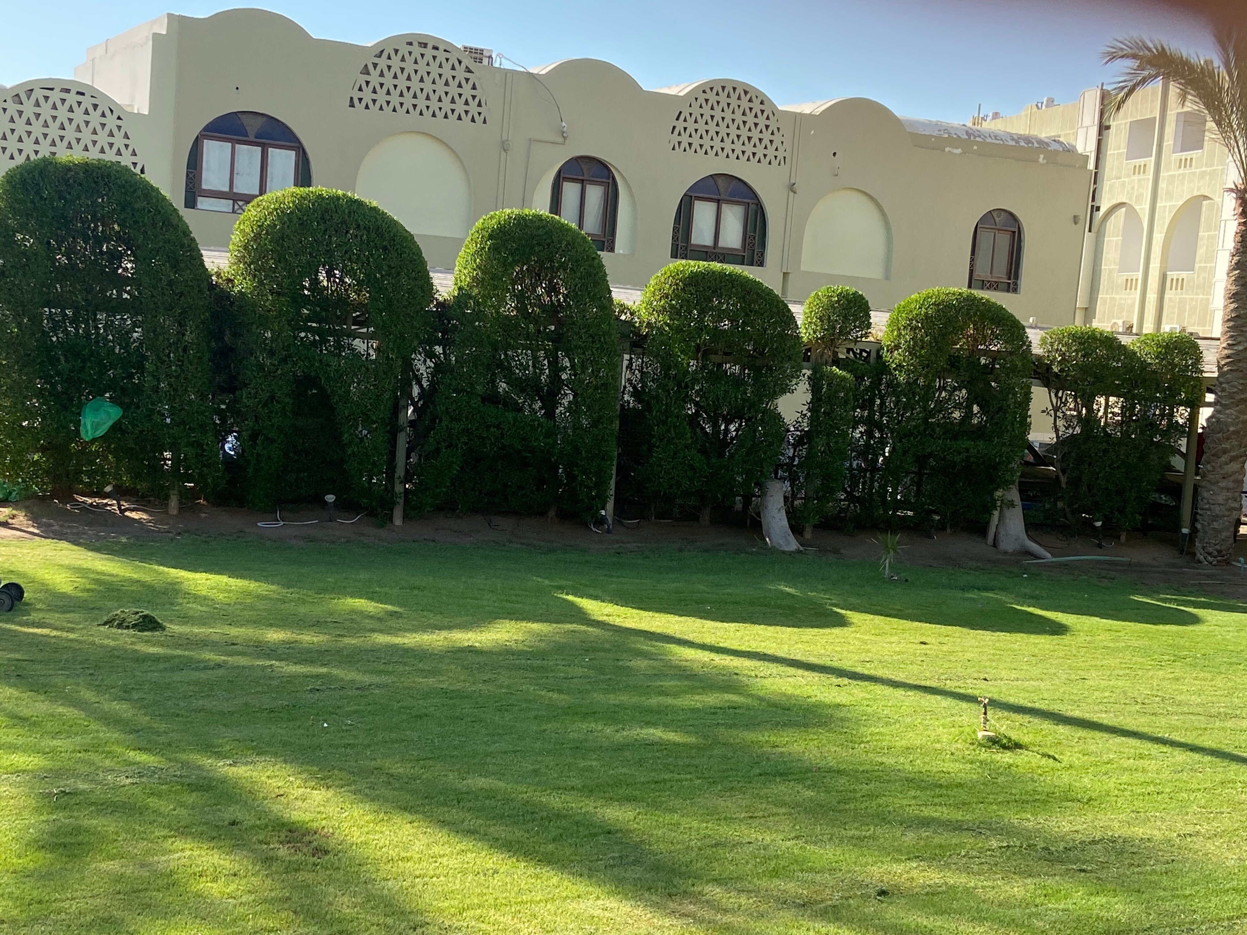 Фото Arabia Azur Resort