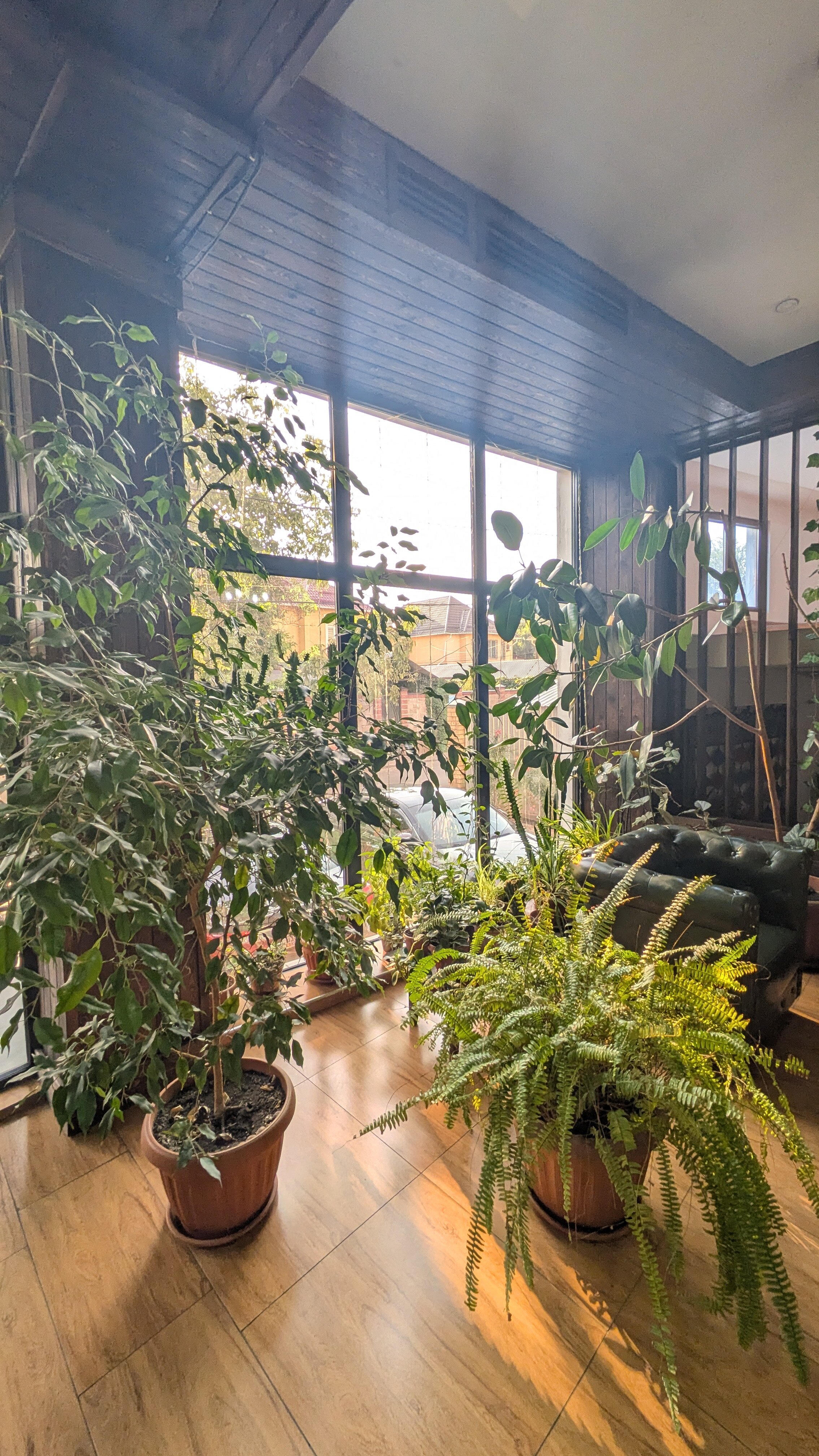 Фото Olive Hotel