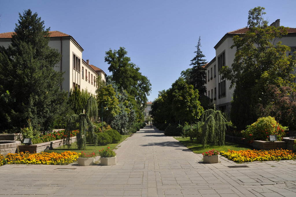 كلية، جامعة Ankara University Institute of Science and Technology ، أنقرة، صورة