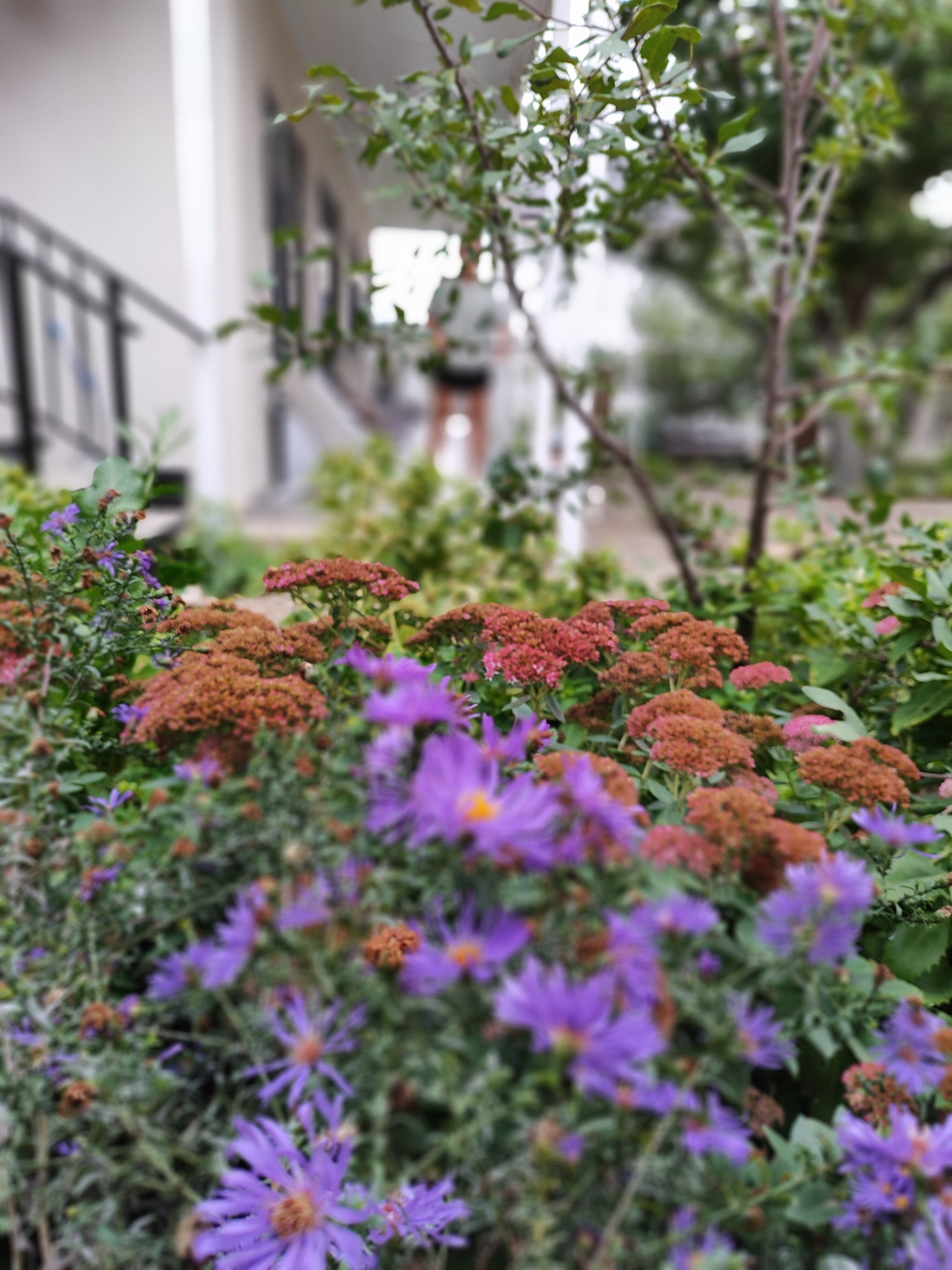 Фото Семейная атмосфера