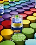 Raykon (Istanbul, Kagithane, Yesilce Neighborhood, Duygu Street, 40D), paintwork materials