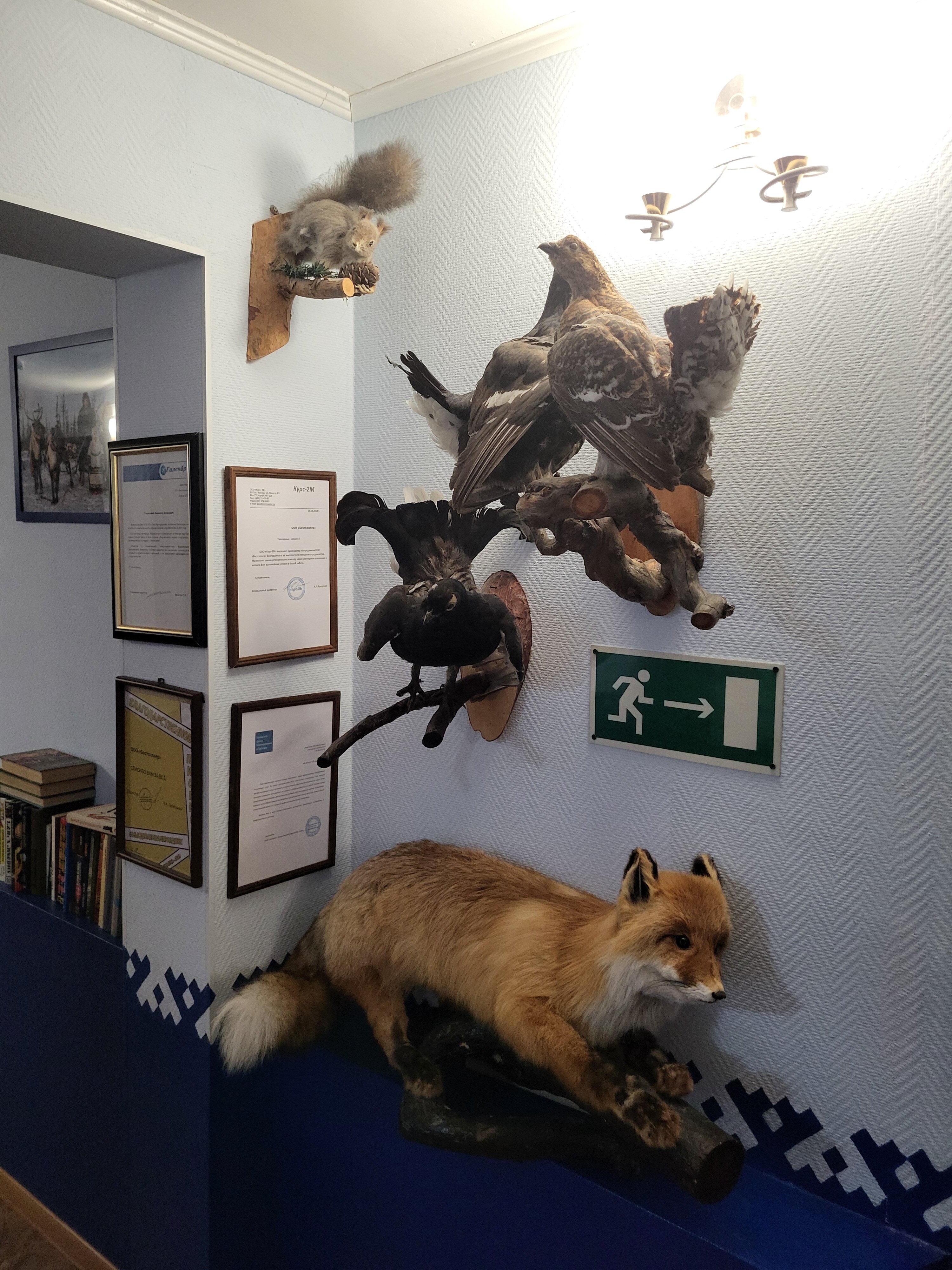 Фото Белые ночи