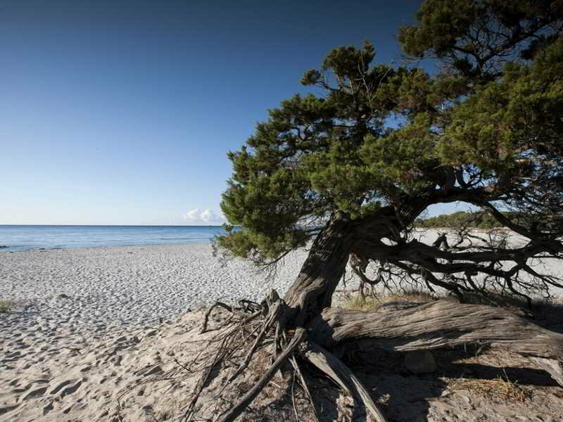 Фото Residence Marina Palace