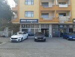 Oğuz Automotive (Bursa, Nilüfer, Yıldırım Cad., 257B), exposición de coches