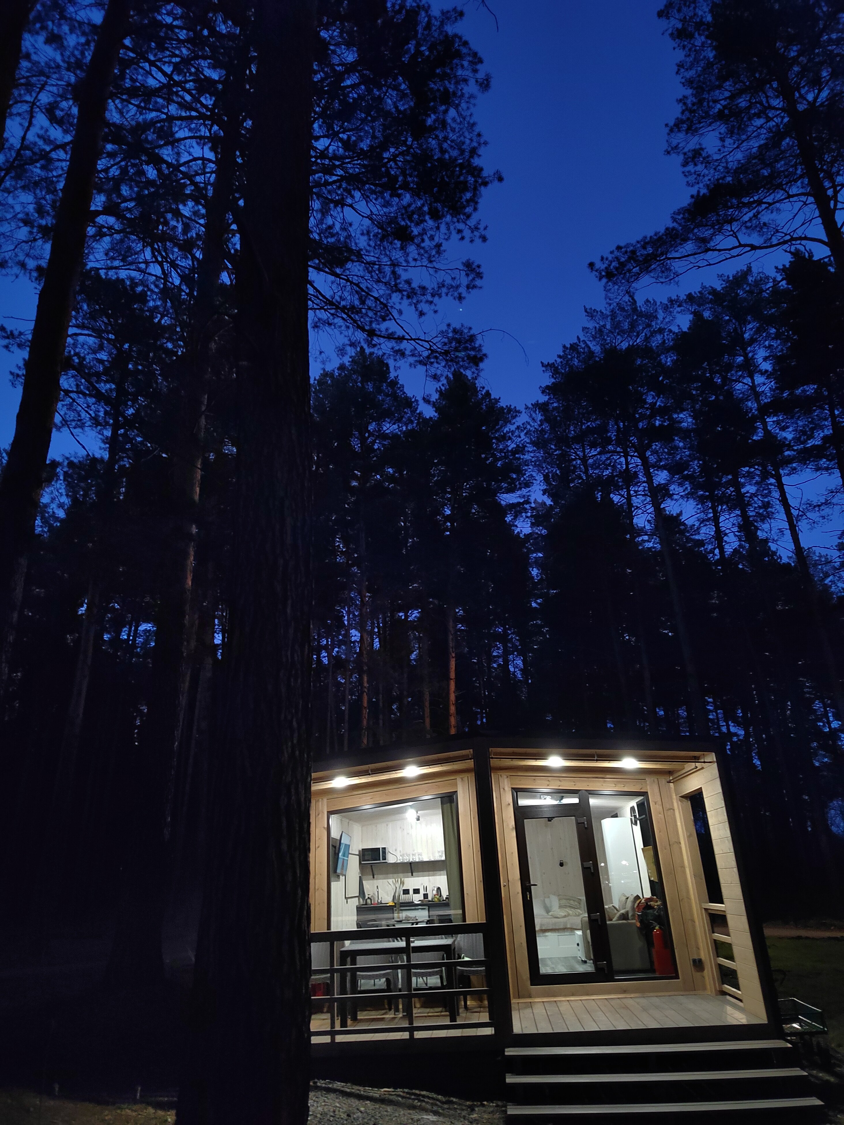 Фото Мишкины Шишки