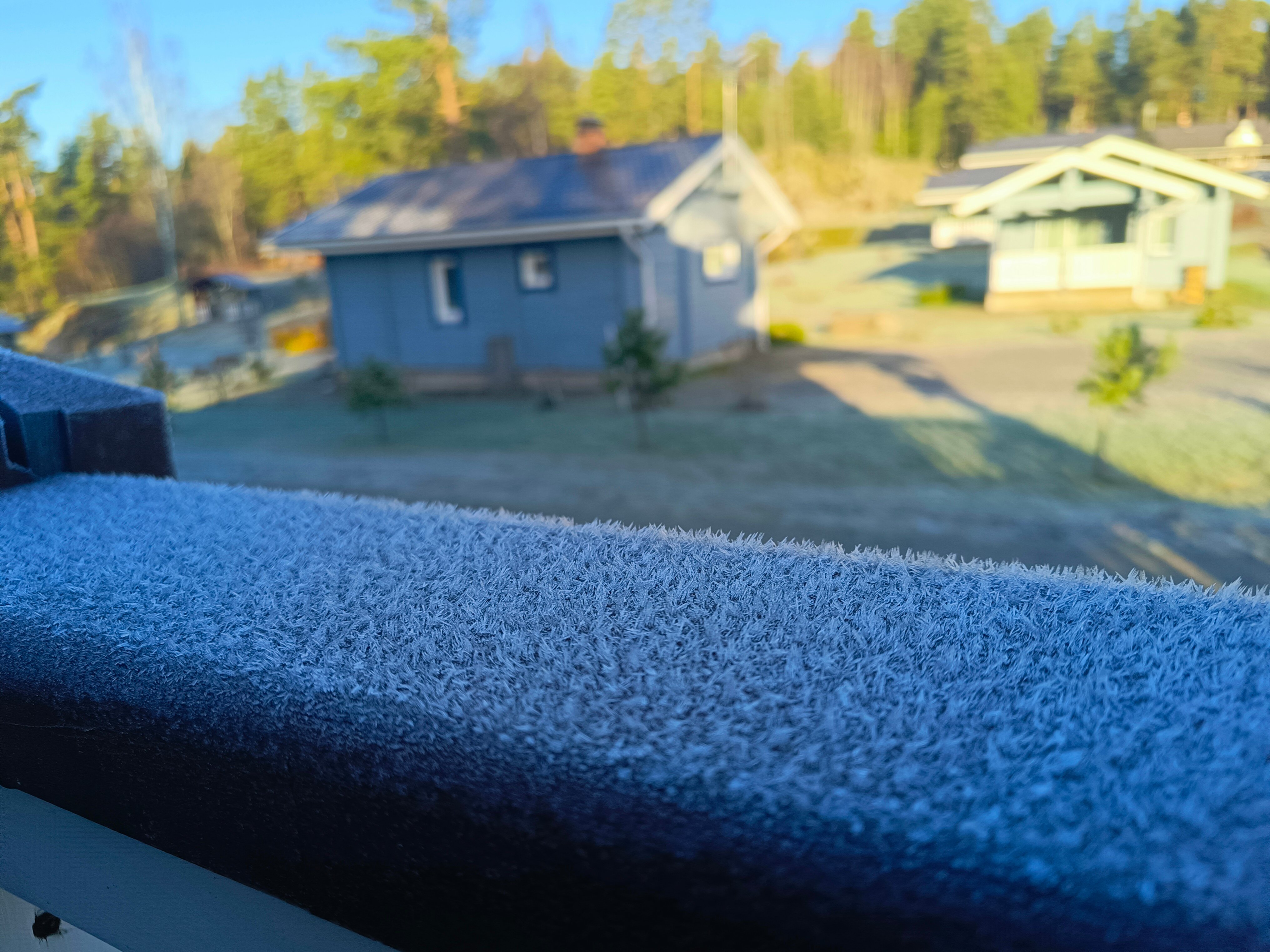 Фото Липпола