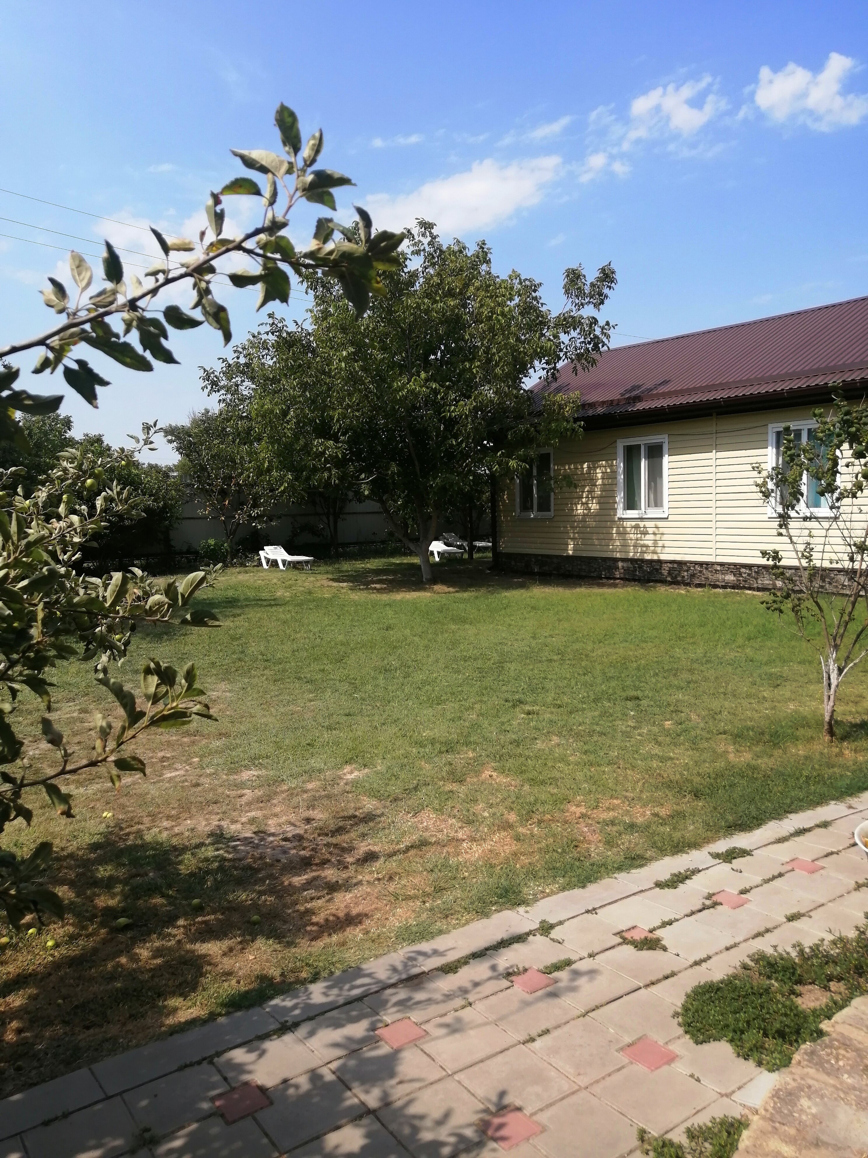 Фото Солнечная поляна