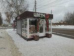 Цветы у тёти Лены (Komi Republic, Syktyvkar, Orbita District, Petrozavodskaya Street), floristeria