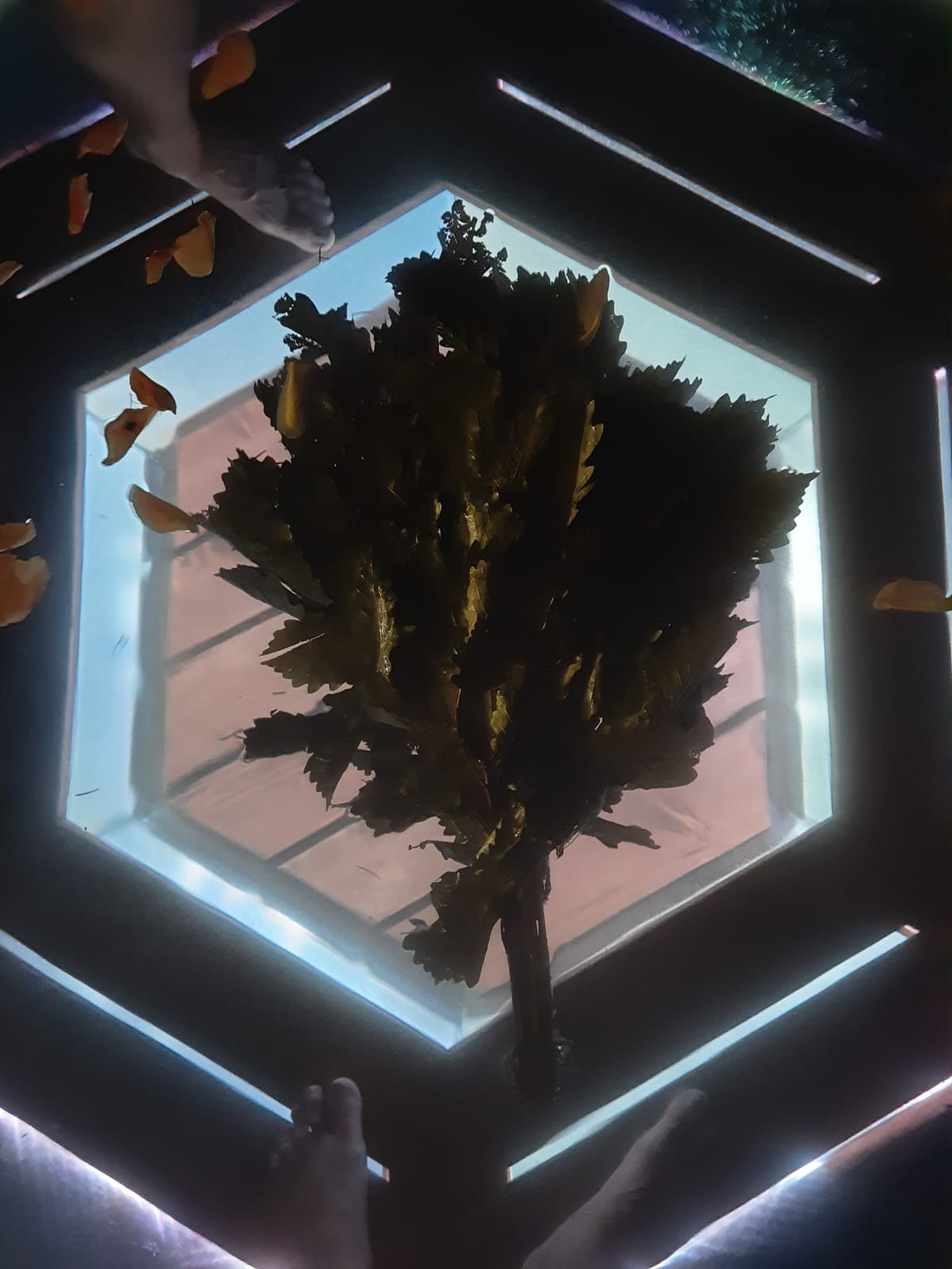 Фото На Алтае