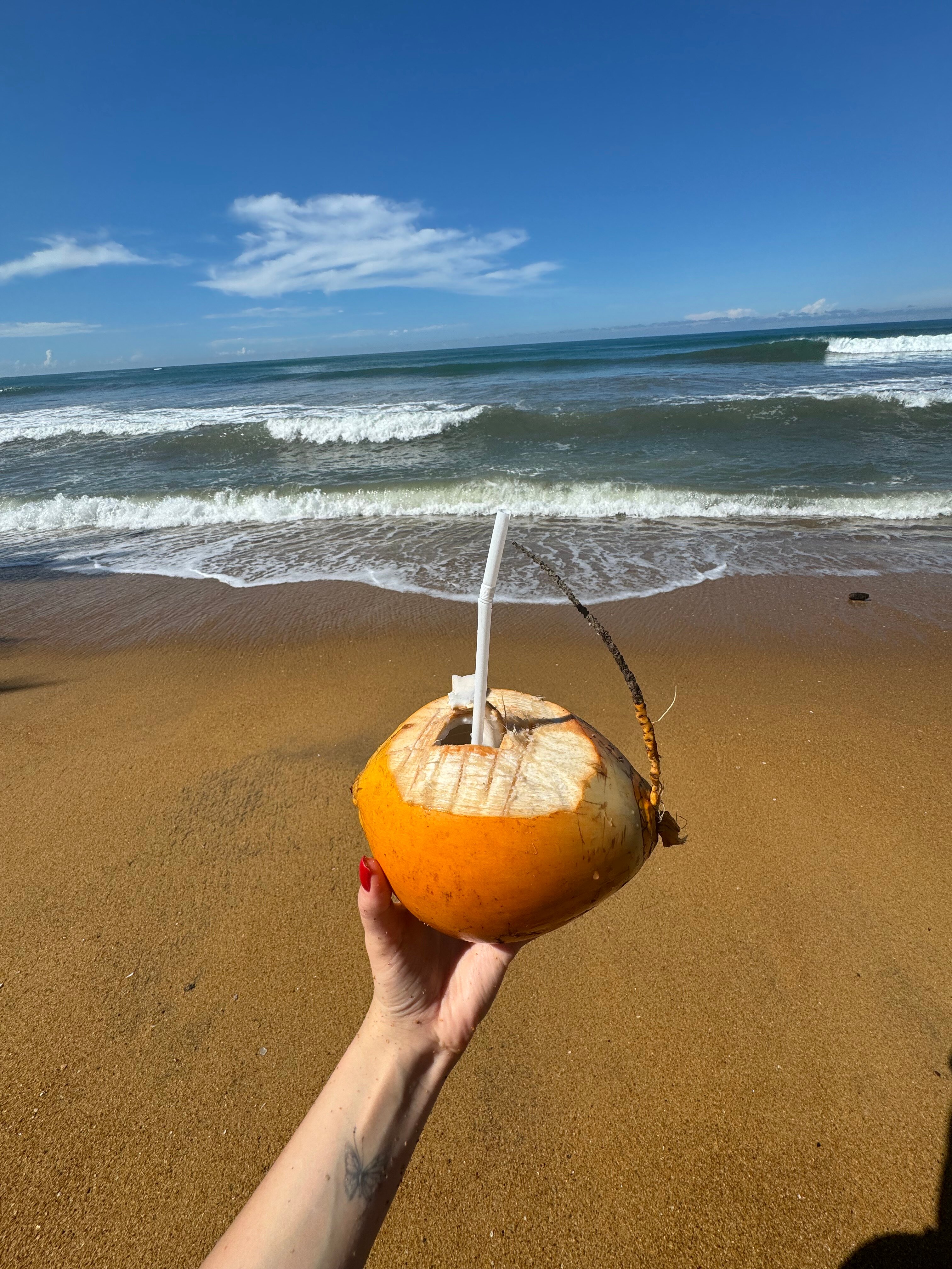 Фото Coco Royal Beach Resort - Waskaduwa