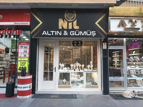 Nil Altın Gümüş Fotoğraf 2