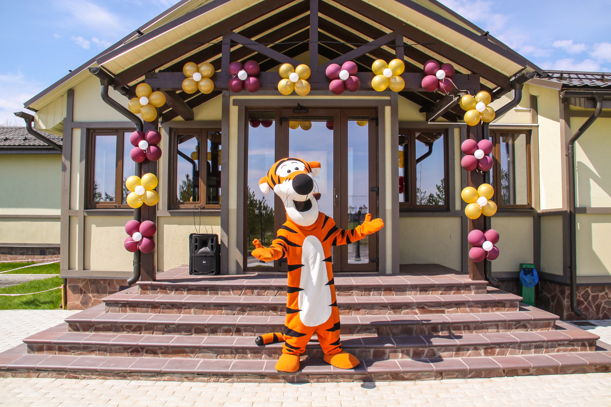 Фото Палисад