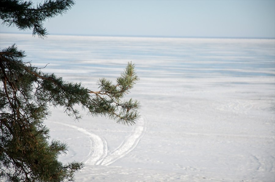 Фото Лукоморье