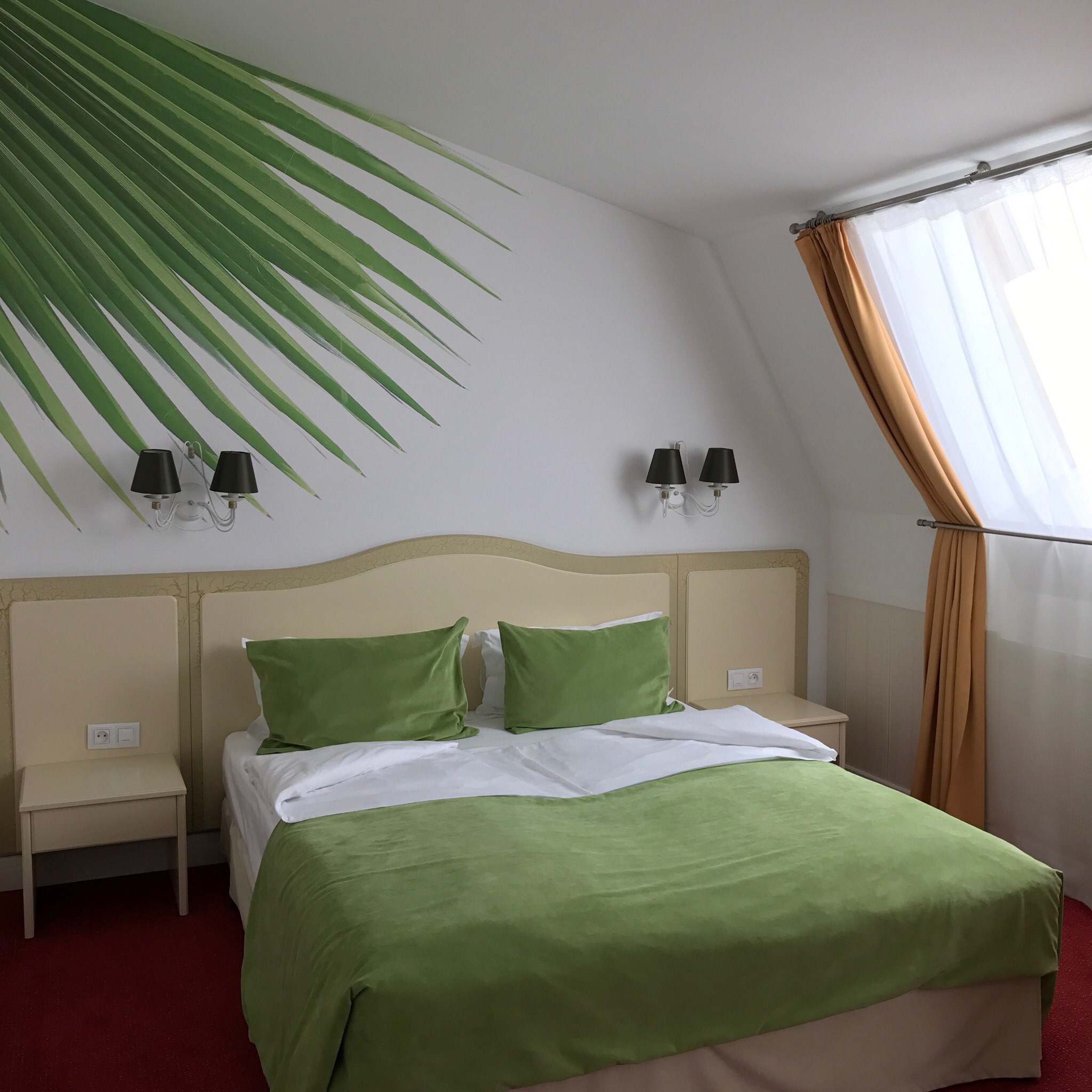 Фото Репинский курорт