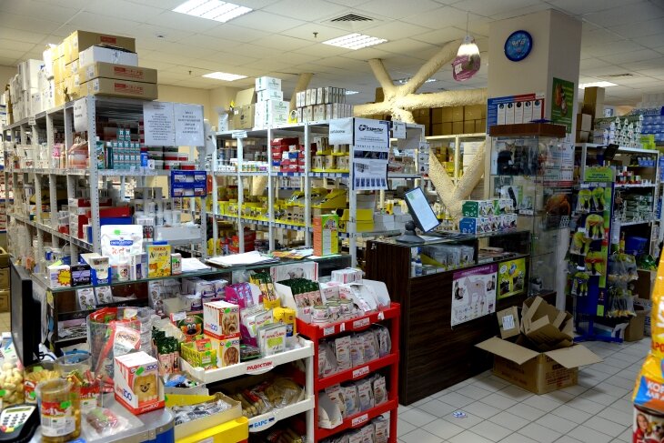 Pet shop Zootreyd, Yekaterinburg, photo