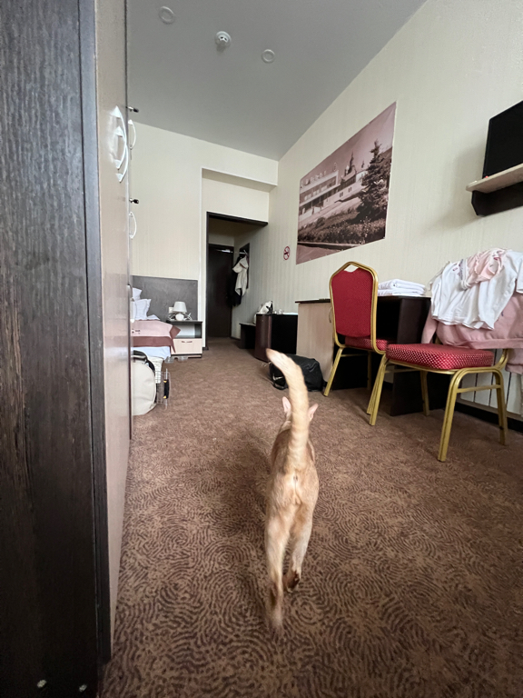 Фото Наш Елец