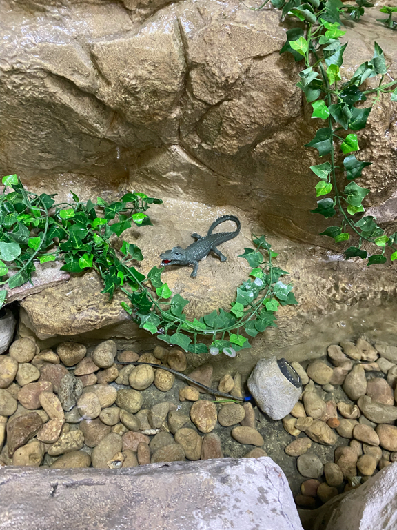 Фото Металлург