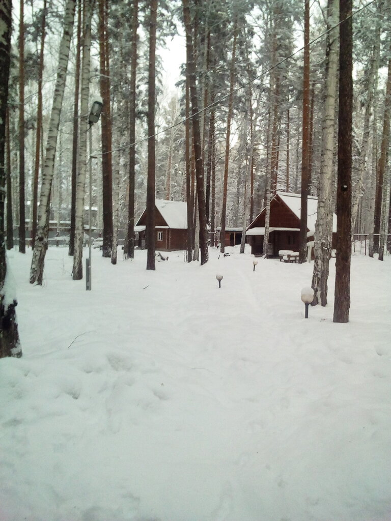 Ресторан Шишки, Свердловская область, фото