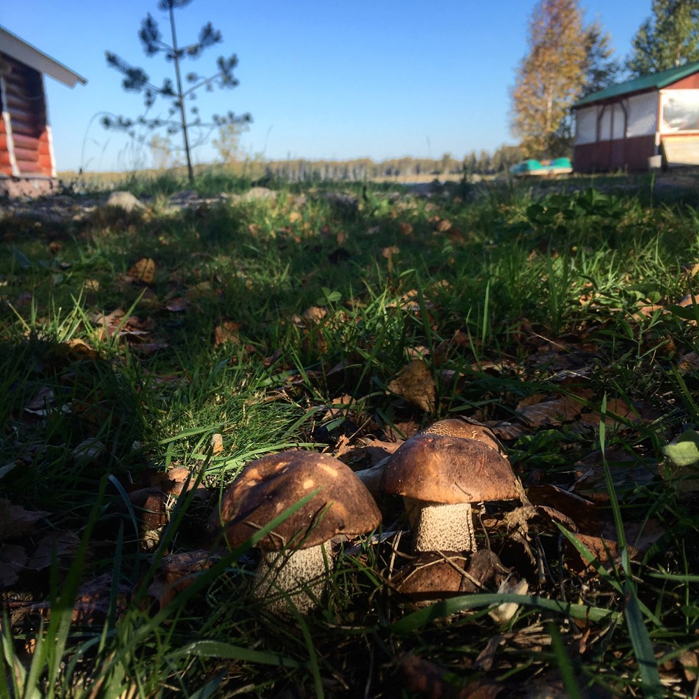 Фото У озера