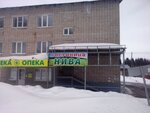 Нива (Yakshur-Bodya Village, Pushinoy Street, 82), hotel