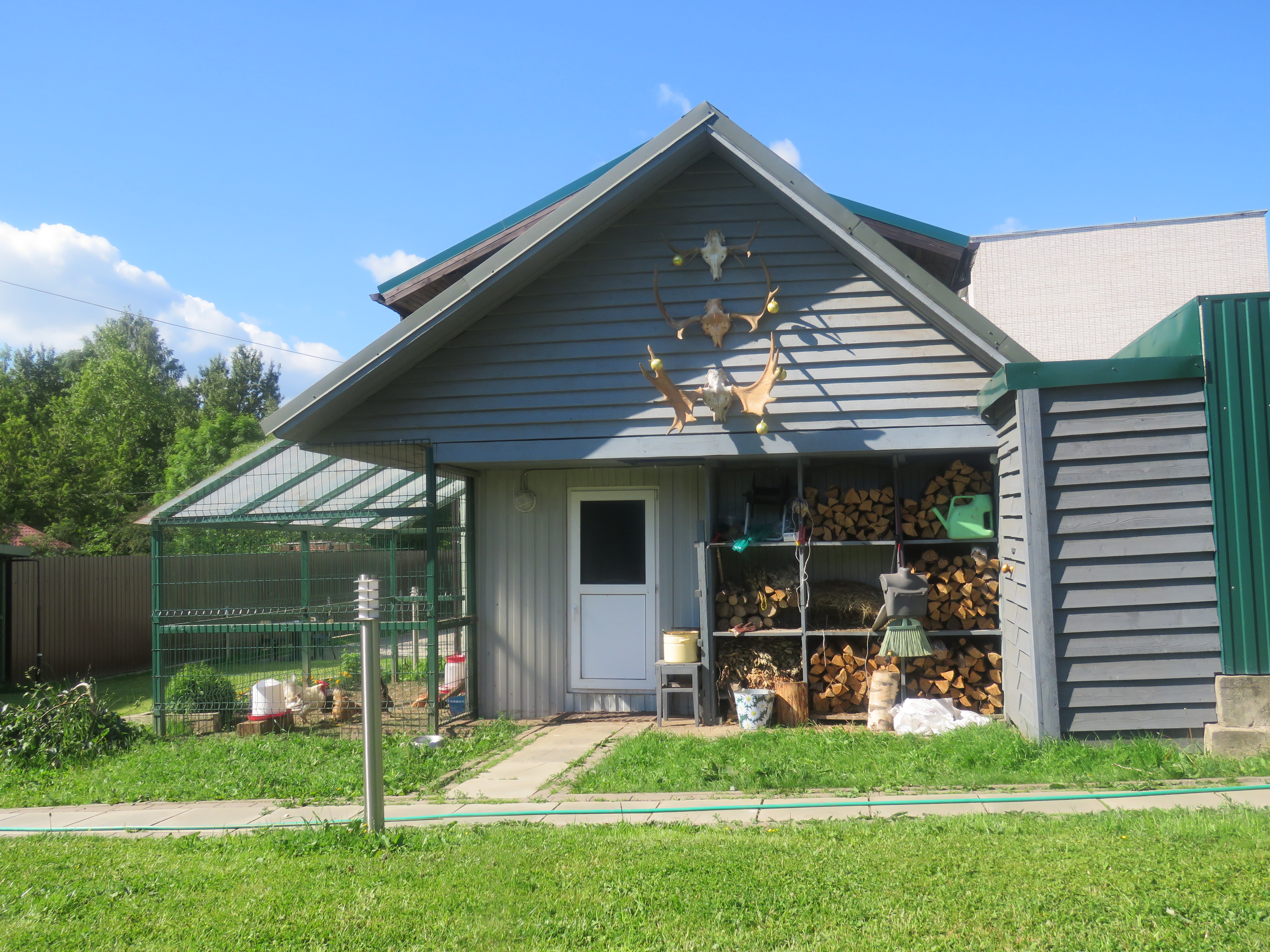 Фото Кот и кошка