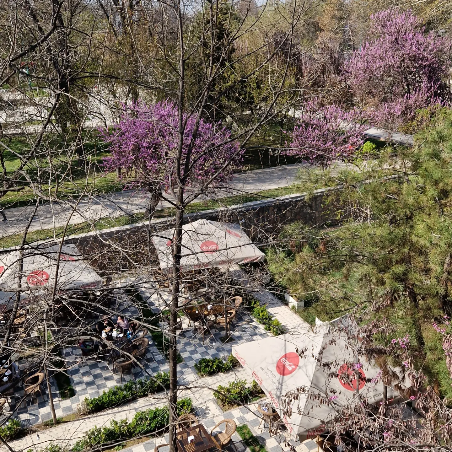 Фото City Centre Hotel