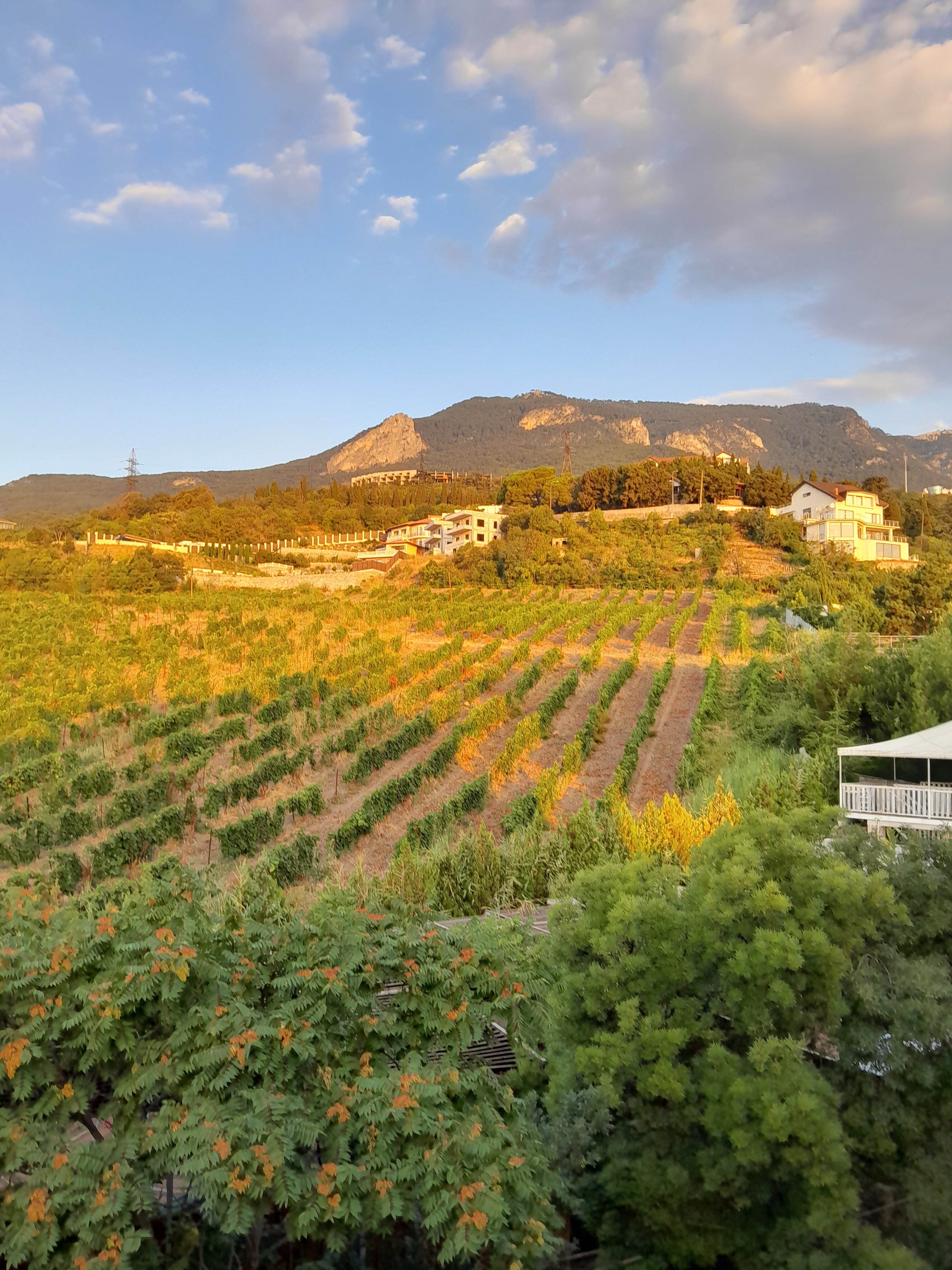 Фото Весёлый Хотэй