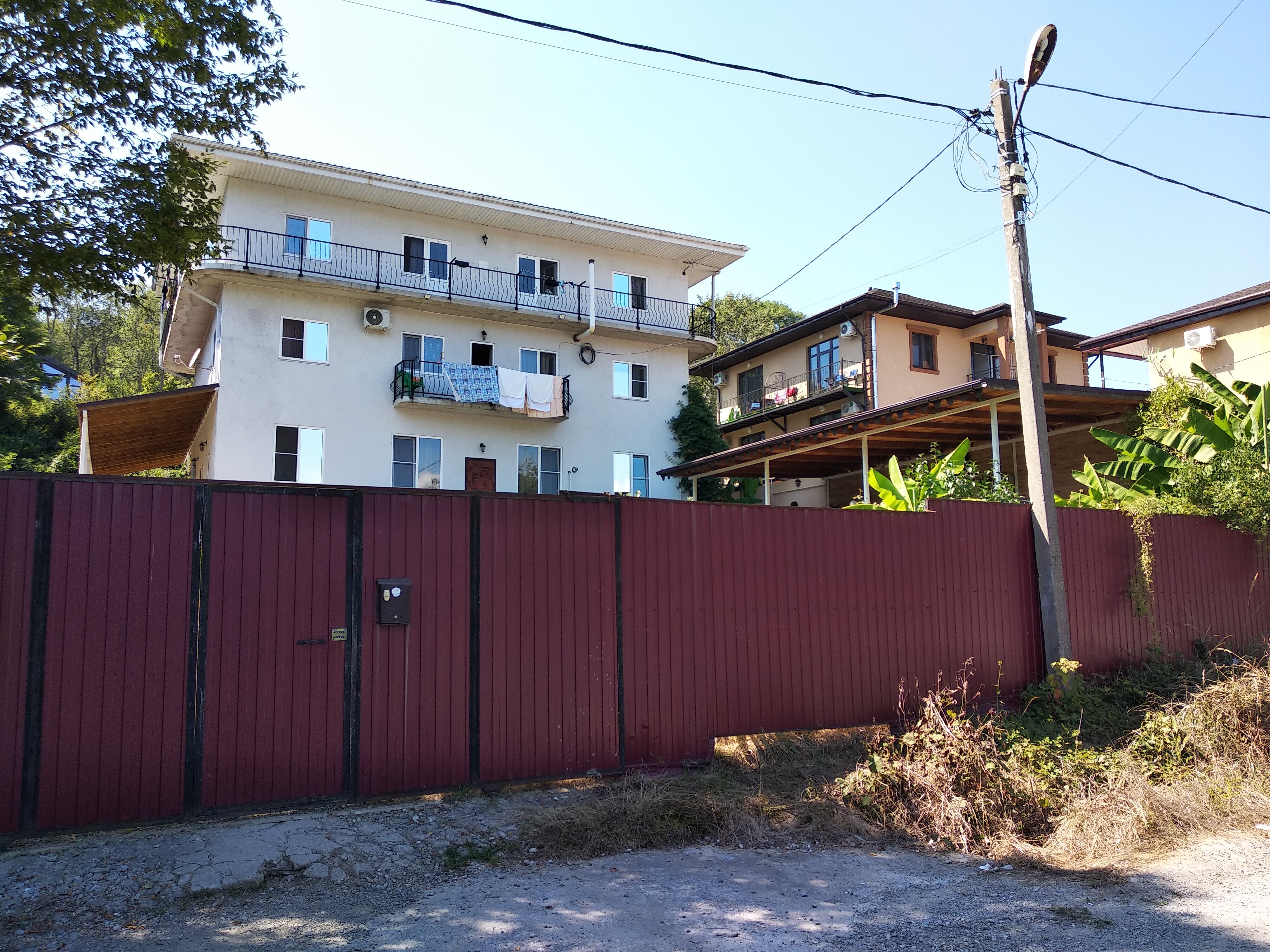 Фото Резеда