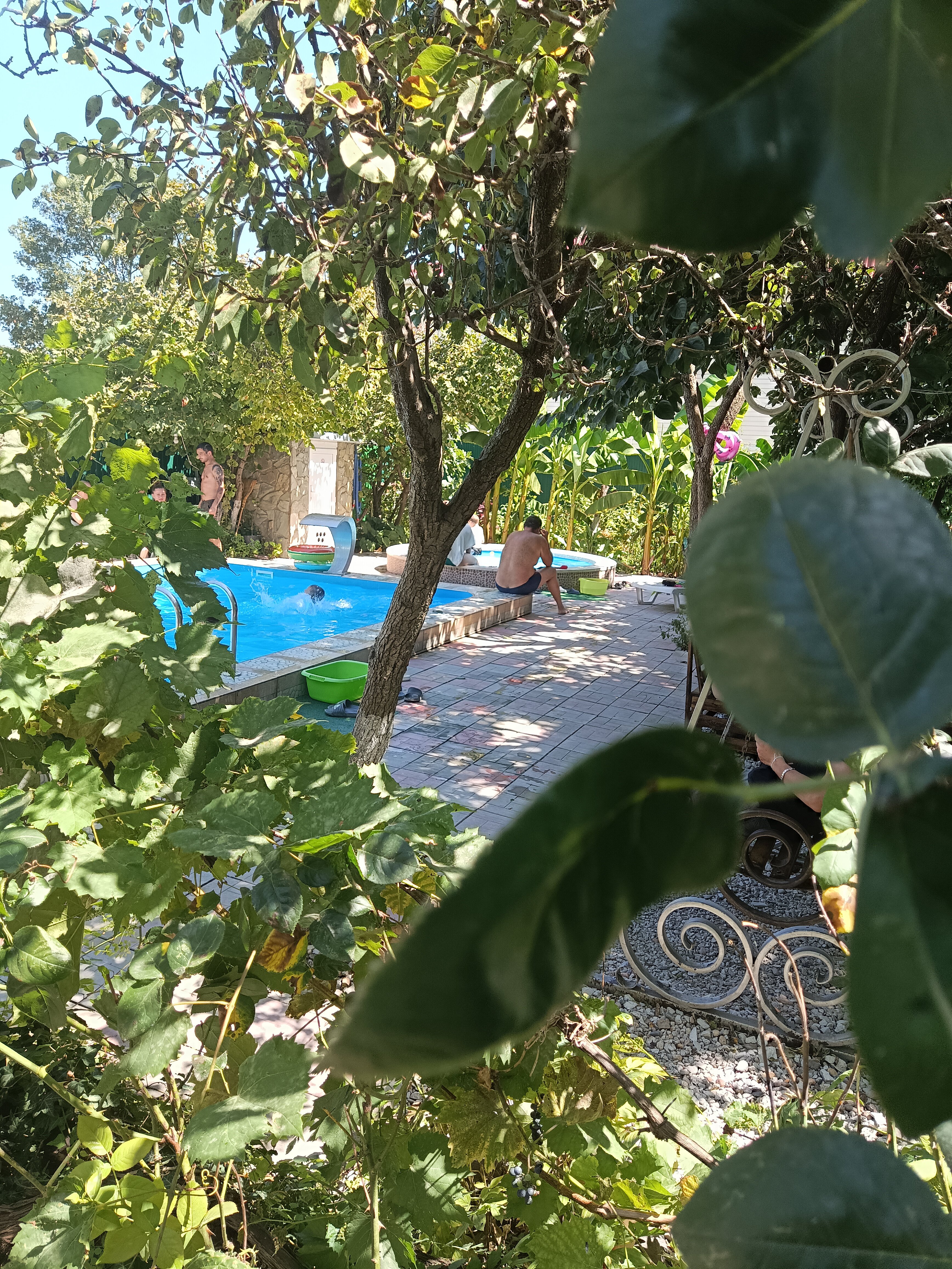 Фото Альдаир