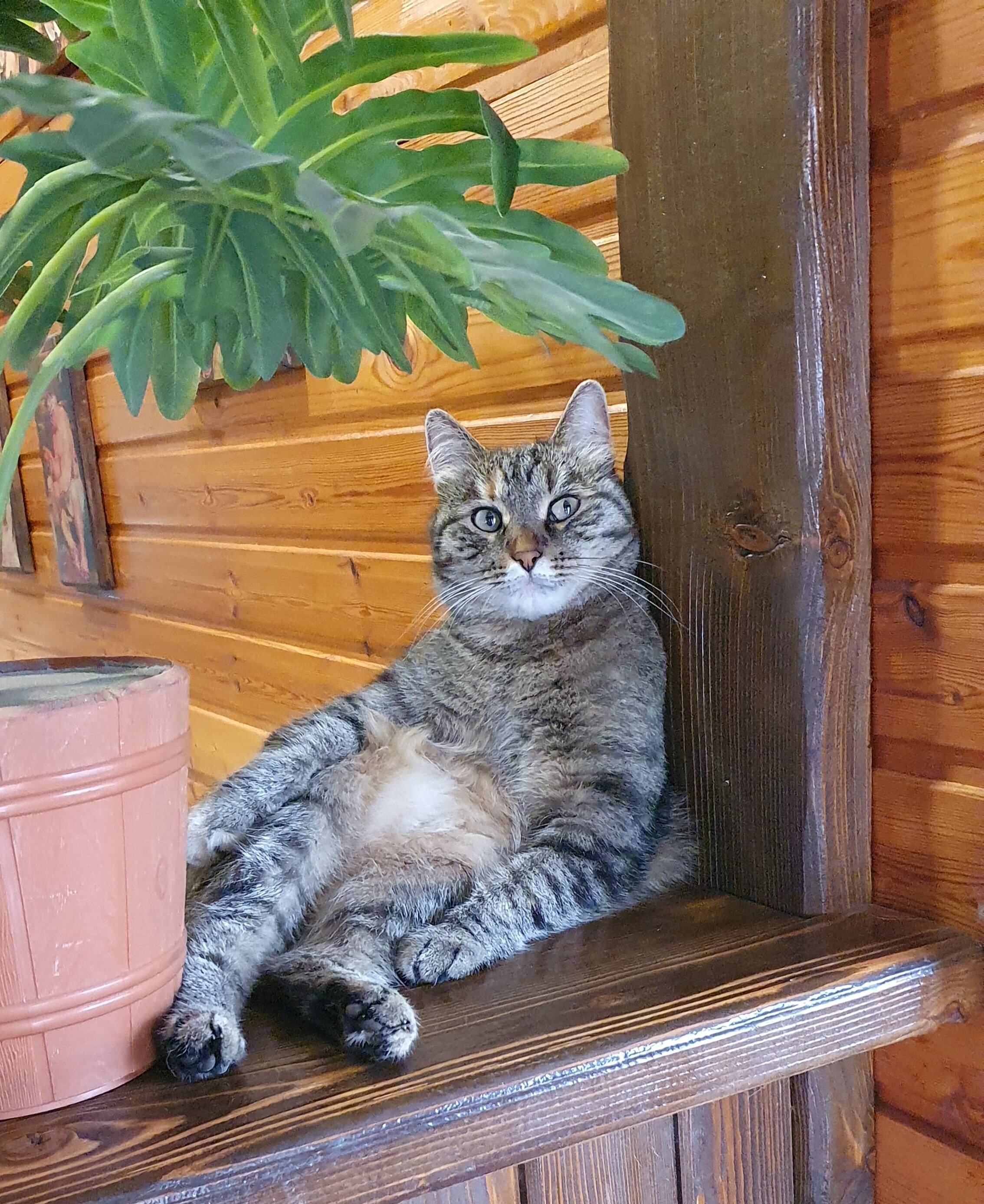 Фото Заимка