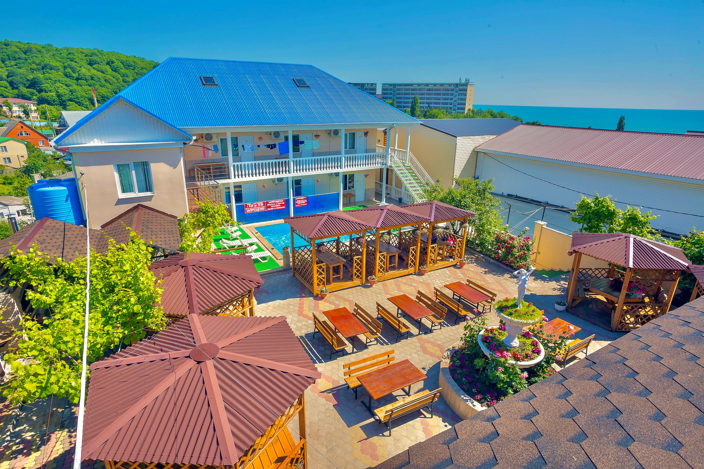 Фото Дельфин