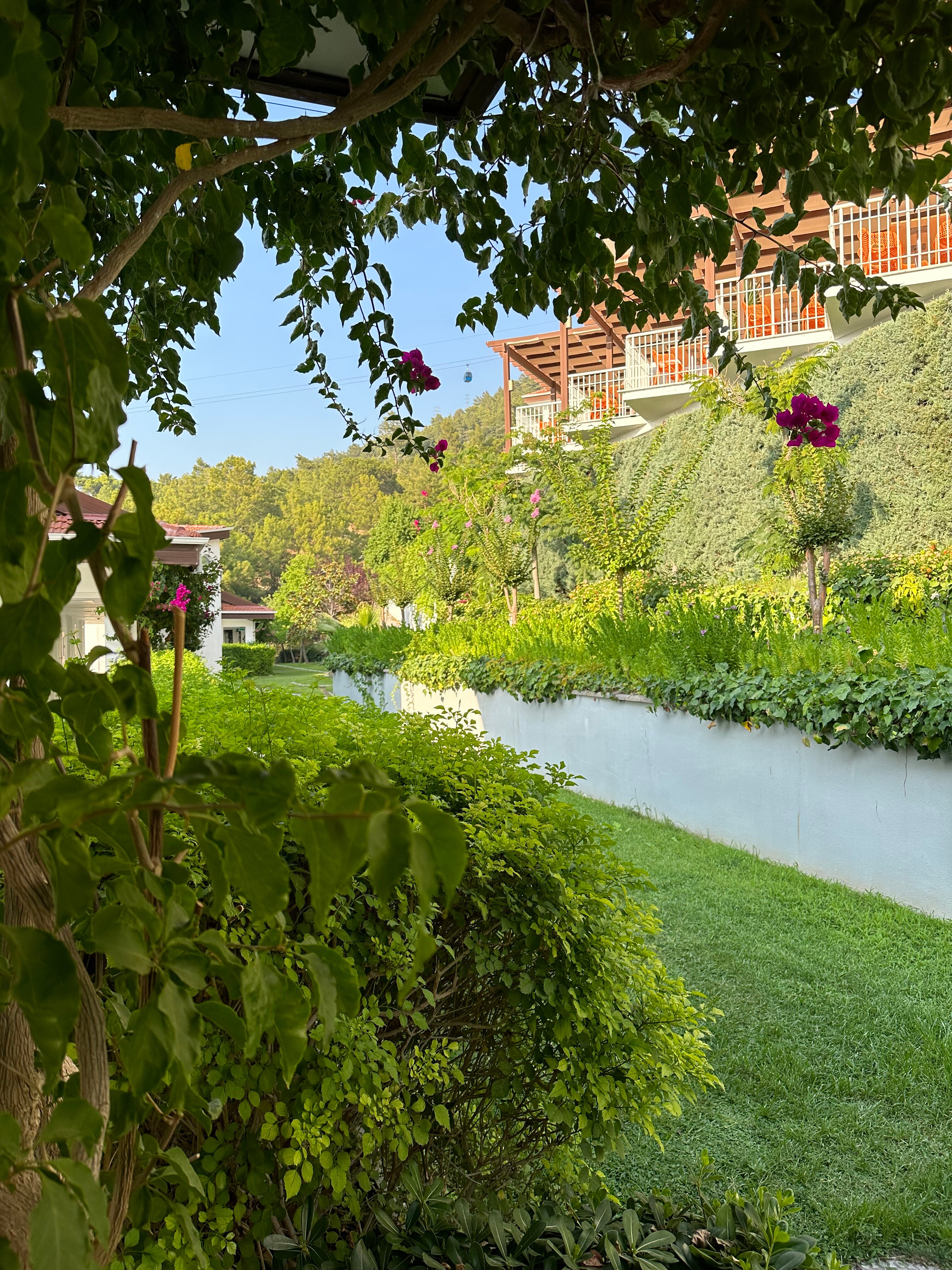 Фото Garcia Resort & Spa