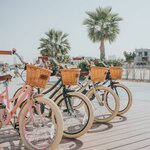 The Adam Store (​47, 28a street​, Al Qouz Industrial Area 1, Hadaeq Mohammed Bin Rashid, Dubai, Dubai Municipality), bicycle shop